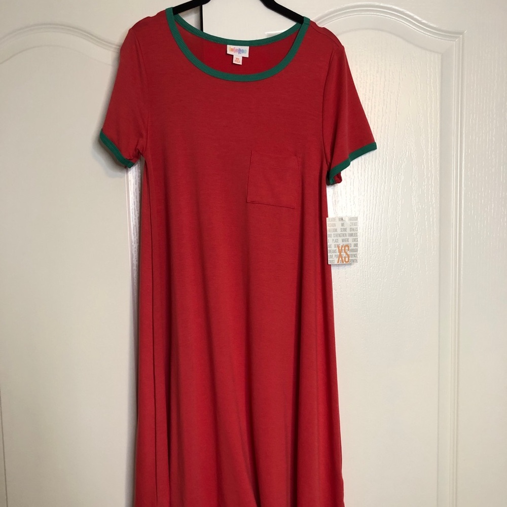 NWT LuLaRoe Carly Dress💚